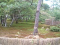 Kyoto Ginkakuji Garden